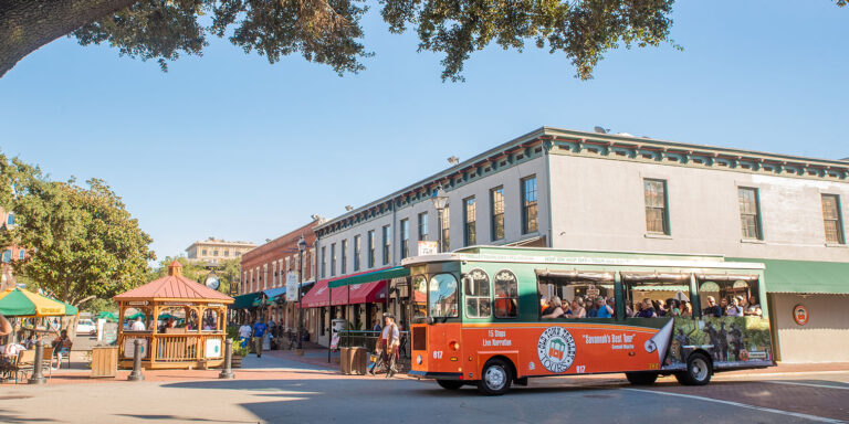 Savannah City Market
