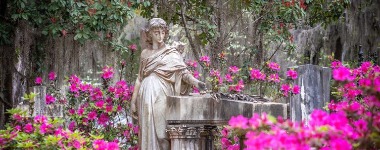 Savannah History
